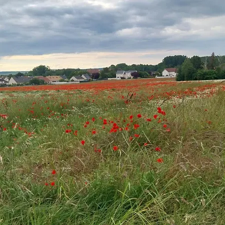 La Maison Des Roses * Athis (Marne)